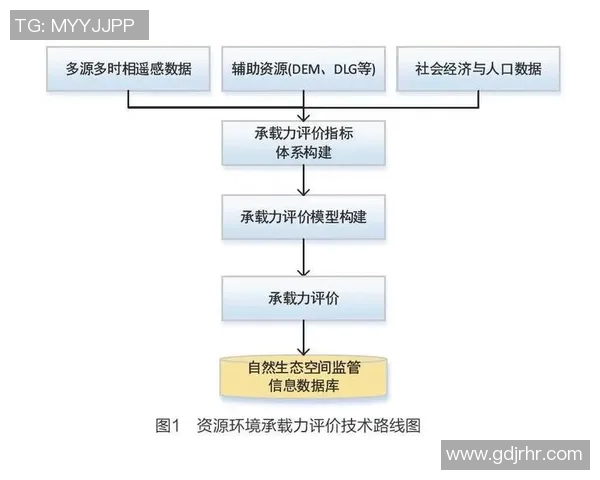 武汉篮球队在世锦赛中的团队协作表现分析与点评