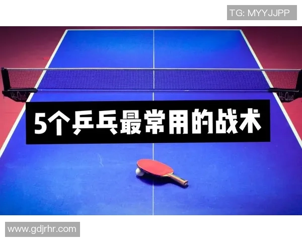 深入分析杭州乒乓球队的进攻战术与技术特点 深入分析杭州乒乓球队的进攻战术与技术特点