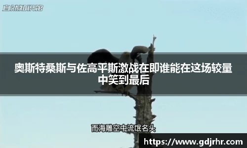 奥斯特桑斯与佐高平斯激战在即谁能在这场较量中笑到最后